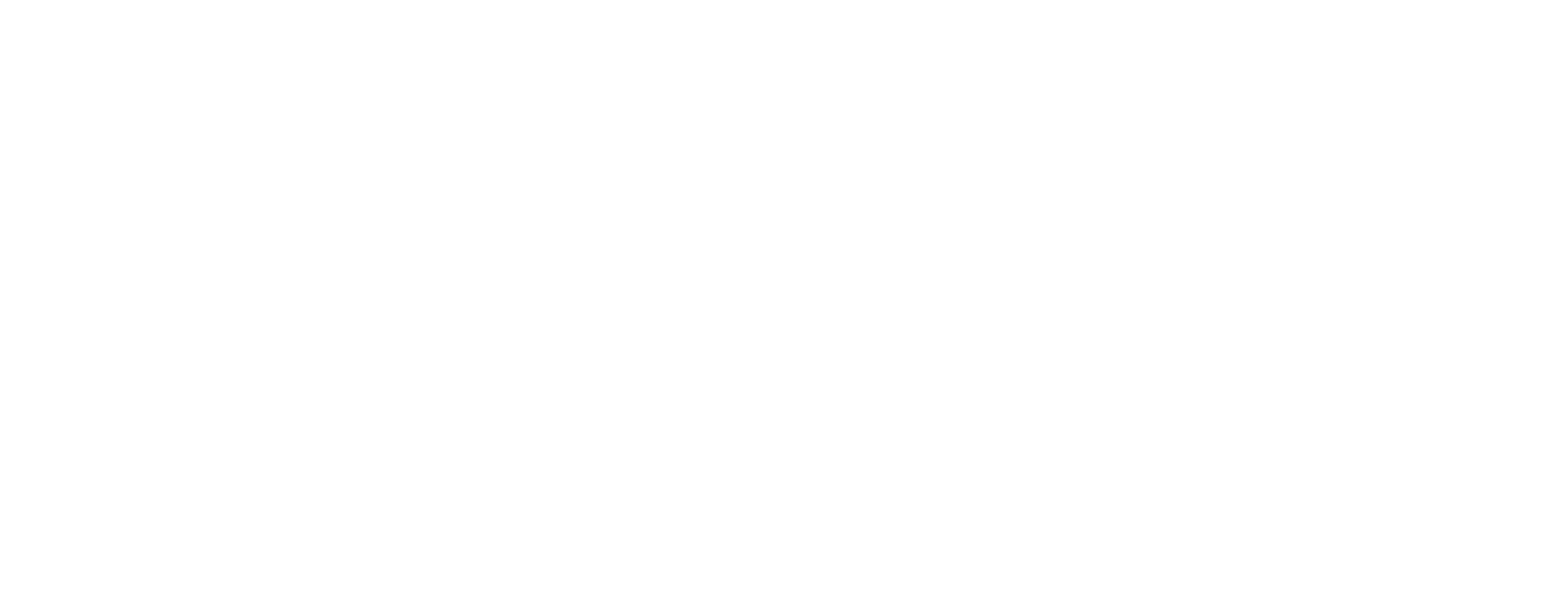 dmroofing white logo